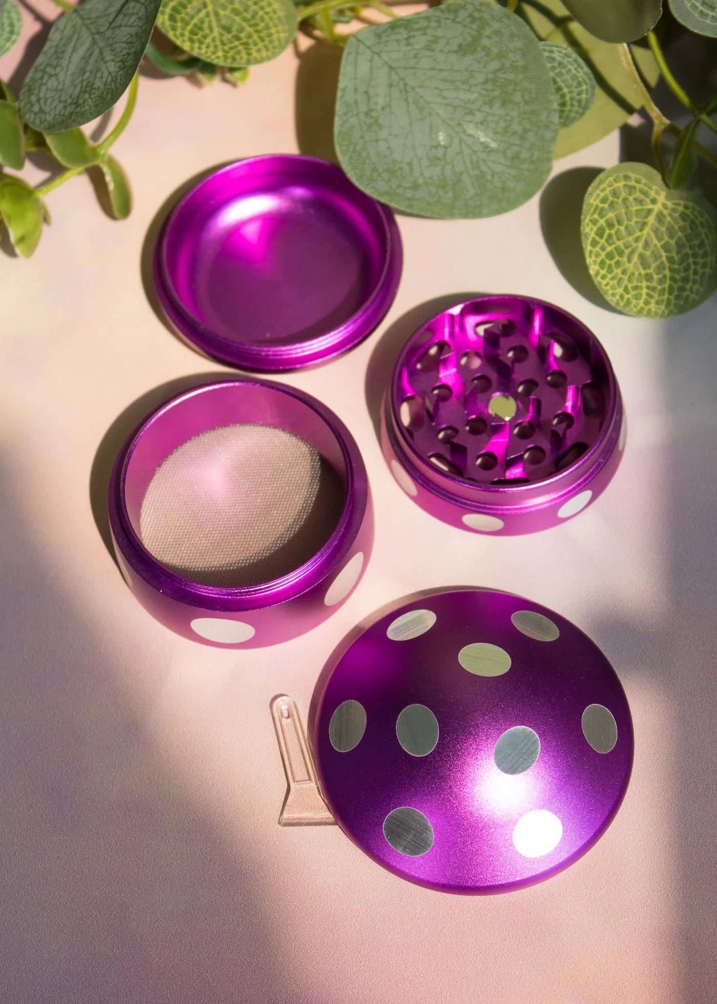 3D Colored Mushroom Solid Grinder - Greenhut